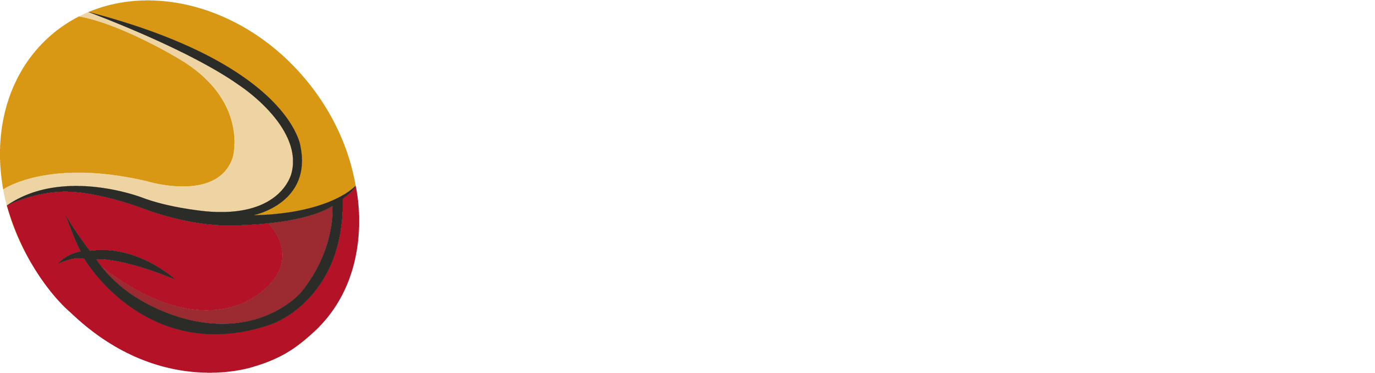 Conisen Logo